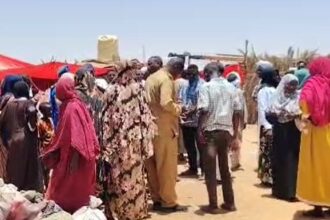 نزوح الآلاف من سكان شمال دارفور إلى الولاية الشمالية في السودان.