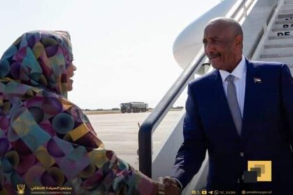 ❌ لم يتم الحصول على نتيجة صالحة.