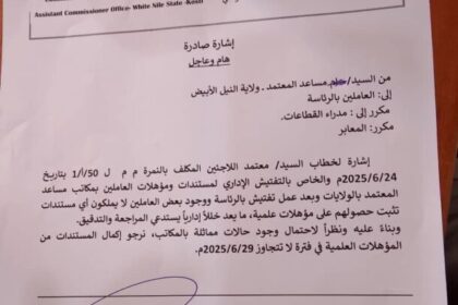 ❌ لم يتم الحصول على نتيجة صالحة.