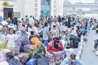 "لجنة الأمل" تضع مساراً مدمجاً لتسهيل عودة العالقين من مصر